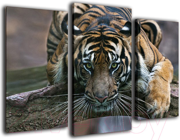 Изображение товара Картина модульная Arthata m-000312 (90x60)