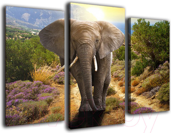 Изображение товара Картина модульная Arthata m-000313 (90x60)