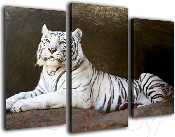 Изображение товара Картина модульная Arthata m-000315 (90x60)