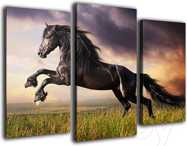 Изображение товара Картина модульная Arthata m-000316 (90x60)