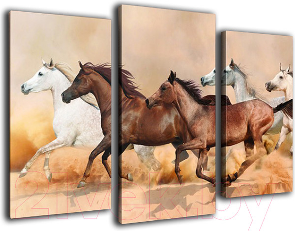 Изображение товара Картина модульная Arthata m-000320 (75x50)