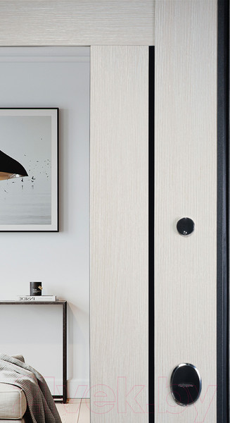 Изображение товара Входная дверь Промет Марс 12 86x205 (правая, антрацит рефлект/ларче)