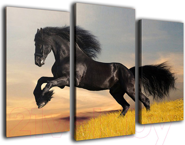 Изображение товара Картина модульная Arthata m-000321 (75x50)