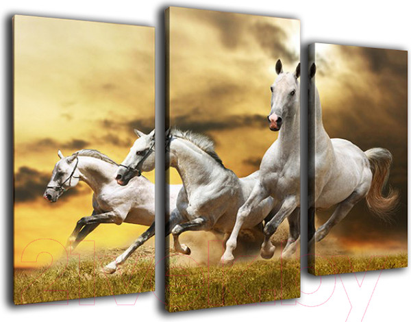 Изображение товара Картина модульная Arthata m-000322 (75x50)