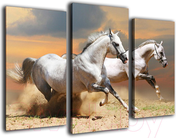 Изображение товара Картина модульная Arthata m-000324 (75x50)