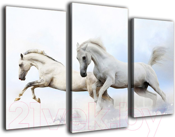 Изображение товара Картина модульная Arthata m-000328 (90x60)