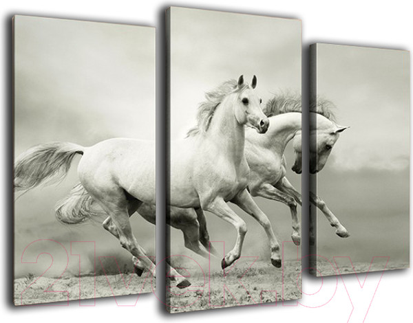 Изображение товара Картина модульная Arthata m-000330 (75x50)