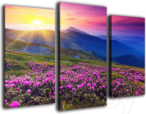 Изображение товара Картина модульная Arthata m-000339 (75x50)