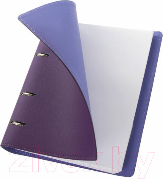 Изображение товара Тетрадь Brauberg Joy / 129989 (120л, фиолетовый/светло-фиолетовый)