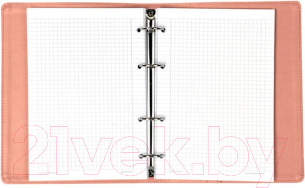 Изображение товара Тетрадь Brauberg Joy / 129990 (120л, розовый/светло-розовый)