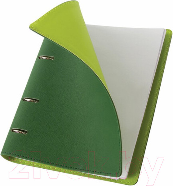 Изображение товара Тетрадь Brauberg Joy / 129991 (120л, зеленый/светло-зеленый)