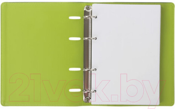 Изображение товара Тетрадь Brauberg Joy / 129991 (120л, зеленый/светло-зеленый)