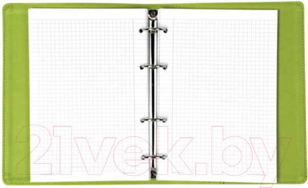 Изображение товара Тетрадь Brauberg Joy / 129991 (120л, зеленый/светло-зеленый)