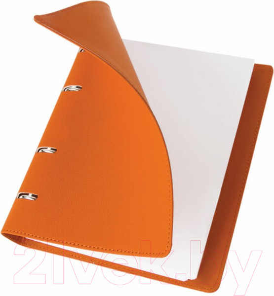 Изображение товара Тетрадь Brauberg Joy / 129992 (120л, оранжевый/светло-оранжевый)