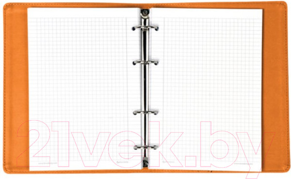 Изображение товара Тетрадь Brauberg Joy / 129992 (120л, оранжевый/светло-оранжевый)