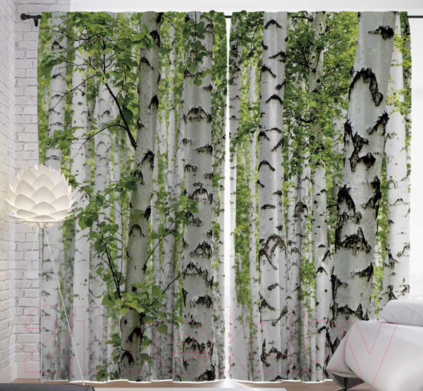 Изображение товара Комплект штор JoyArty Березы умиляют / p_16437