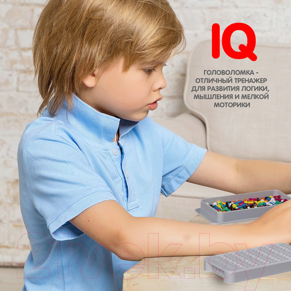 Изображение товара Настольная игра Bondibon IQ Эврика / ВВ5137