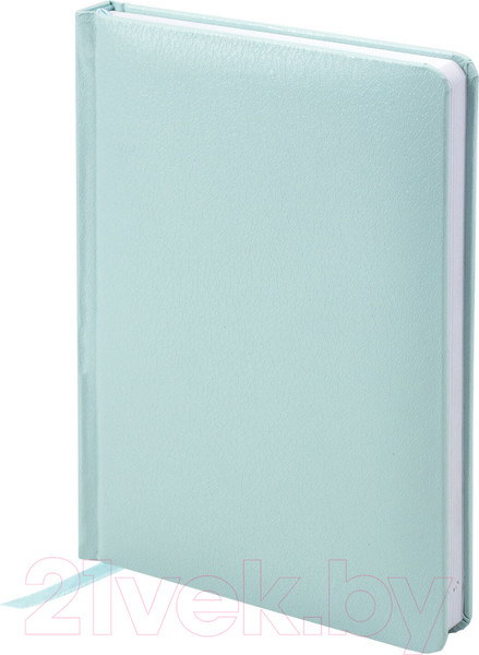 Изображение товара Ежедневник Brauberg Profile / 111692 (мятный)