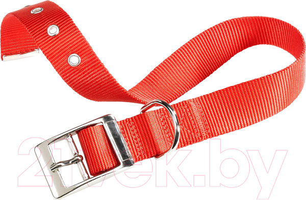 Изображение товара Ошейник Ferplast Club CF15/35 (красный)