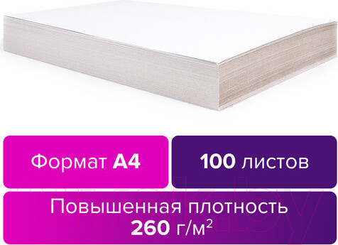 Изображение товара Набор белого картона Brauberg Для подшивки документов / 124877 (100л)