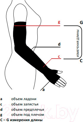Изображение товара Рукав компрессионный Aries Avicenum 360 без перчатки / 8001 (XL, long)