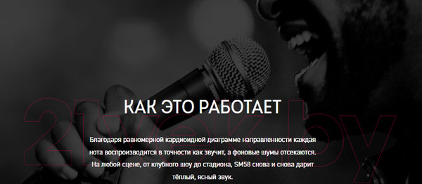Изображение товара Микрофон Shure SM58SE