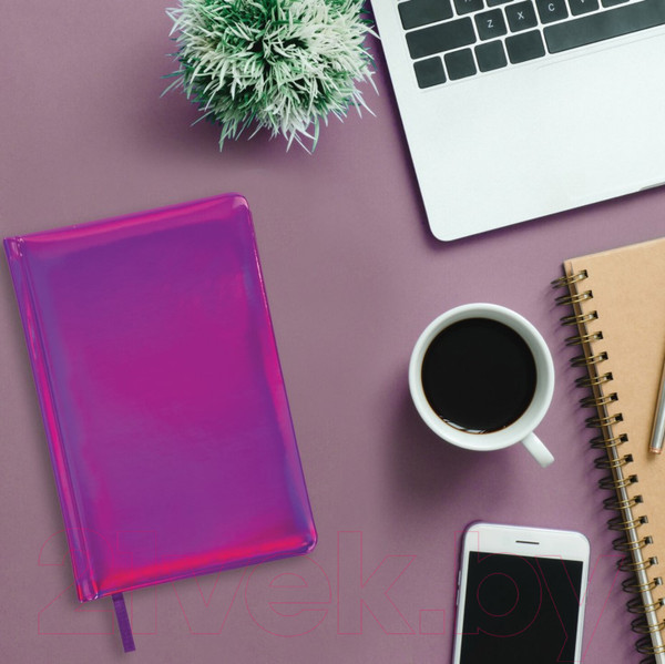 Изображение товара Ежедневник Brauberg Holiday / 111671 (фиолетовый)