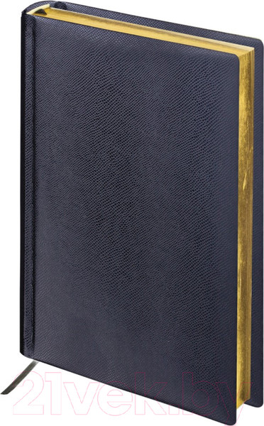 Изображение товара Ежедневник Brauberg Iguana / 125089 (черный)