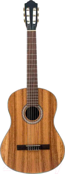 Изображение товара Акустическая гитара Flight C-110 AC 4/4