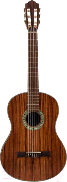 Изображение товара Акустическая гитара Flight C-110 TEAK 4/4