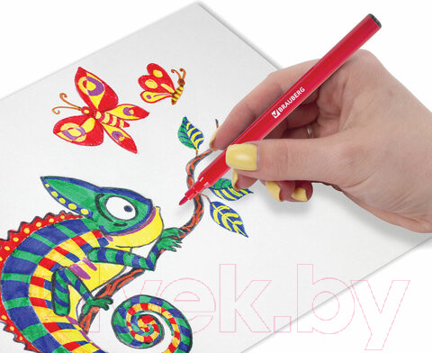 Изображение товара Фломастеры Brauberg Академия / 151413 (24шт)