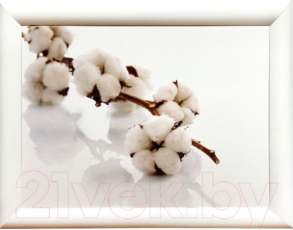 Изображение товара Картина Декарт Ветка хлопка 8Л3045 (в раме)