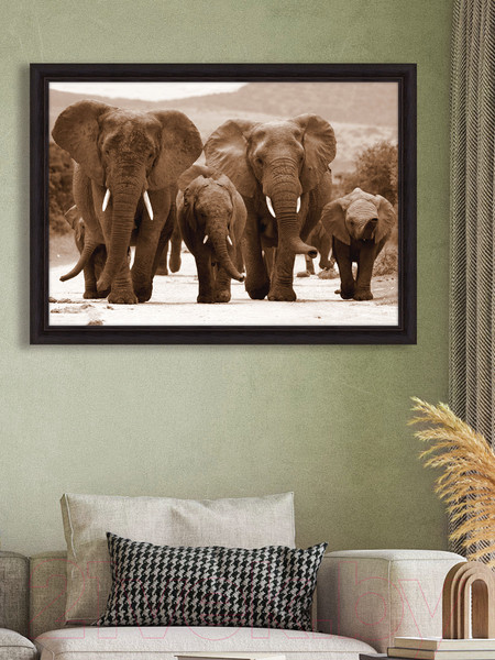 Изображение товара Картина Декарт Слоны 8Л2664 (в раме)