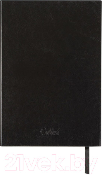 Изображение товара Ежедневник Galant Magnetic / 126272 (черный)