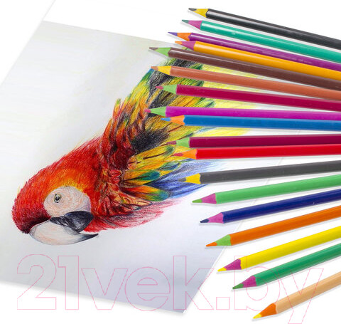 Изображение товара Набор цветных карандашей Юнландия Карнавал / 181686 (24цв)