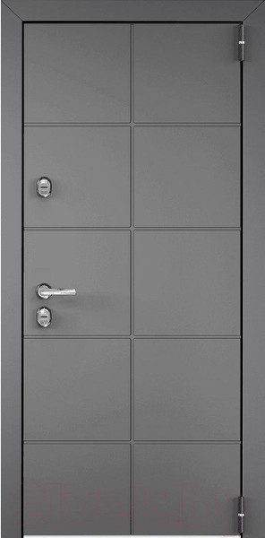 Изображение товара Входная дверь Torex Снегирь PP-9 (86x205, правая)