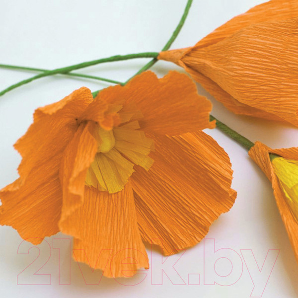 Изображение товара Бумага для оформления подарков Остров Сокровищ Для флористики / 129149 (оранжевый)