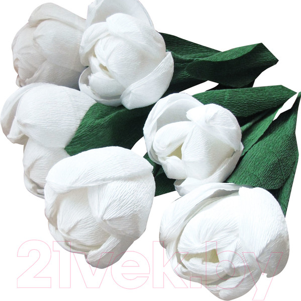 Изображение товара Бумага для оформления подарков Остров Сокровищ Для флористики / 129153 (белый)