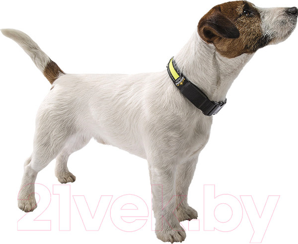 Изображение товара Ошейник Ferplast Night Collar S / 75187017