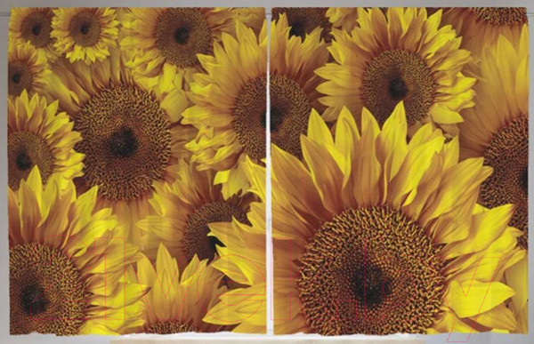 Изображение товара Комплект штор JoyArty Подсолнухи / pox_9855 (145x180)