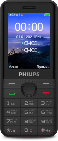 Изображение товара Мобильный телефон Philips Xenium E172 (черный)