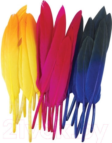Изображение товара Набор перьев декоративных Остров Сокровищ Сокровищ / 661381 (24шт)
