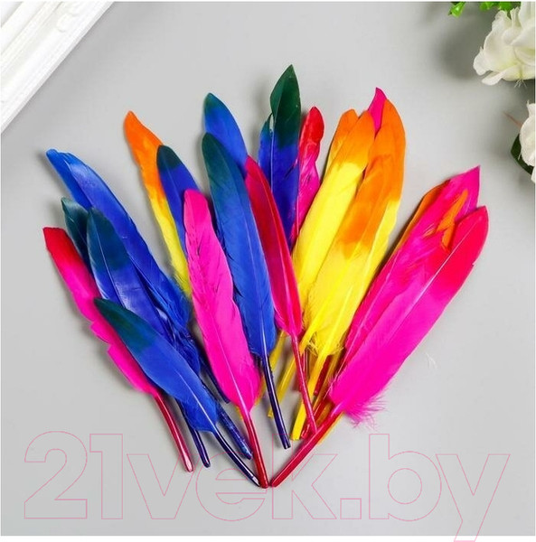Изображение товара Набор перьев декоративных Остров Сокровищ Сокровищ / 661381 (24шт)