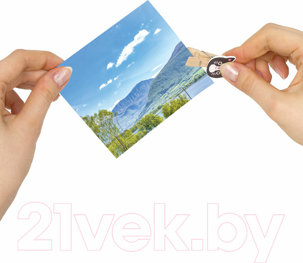 Изображение товара Набор прищепок декоративных Остров Сокровищ Забавные животные / 662672 (10шт, ассорти)