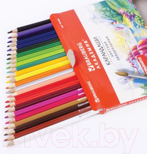 Изображение товара Набор акварельных карандашей Brauberg Академия / 181400 (24цв)