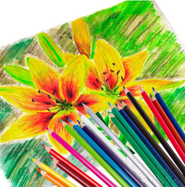 Изображение товара Набор цветных карандашей Brauberg Premium / 181652 (18цв)