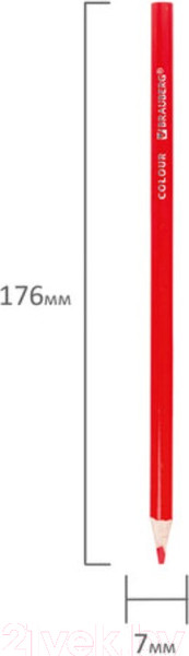 Изображение товара Набор цветных карандашей Brauberg Premium / 181653 (24цв)