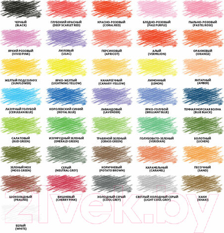 Изображение товара Набор цветных карандашей Brauberg Premium / 181654 (36цв)