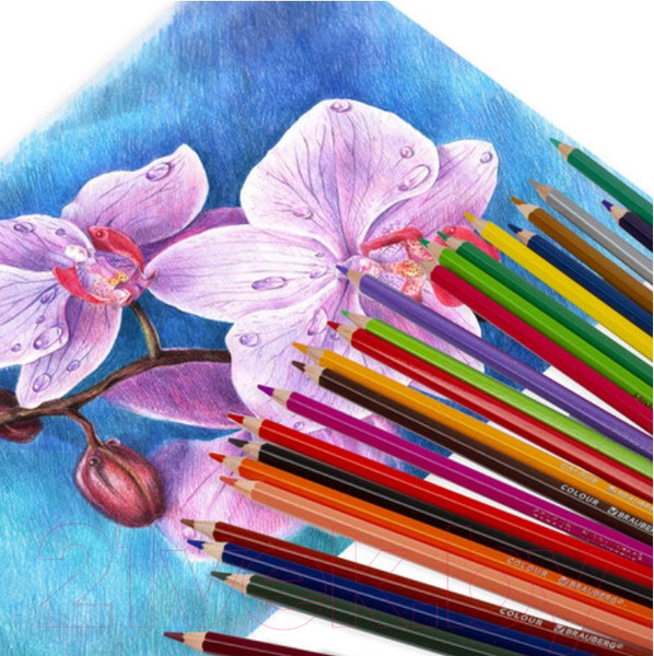 Изображение товара Набор цветных карандашей Brauberg Premium / 181657 (18цв)