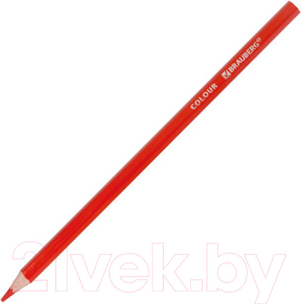 Изображение товара Набор цветных карандашей Brauberg Premium / 181659 (36цв)